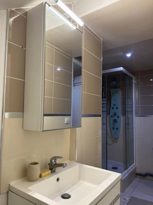 Cosy Studio - 10 Min Away From Cdg Aeroport - 30 Min Away From Paris - Parc Asterix - Olympic Games 2024 Le Thillay Zewnętrze zdjęcie